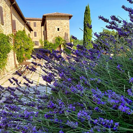 Castello Di Viano Vila Exterior foto