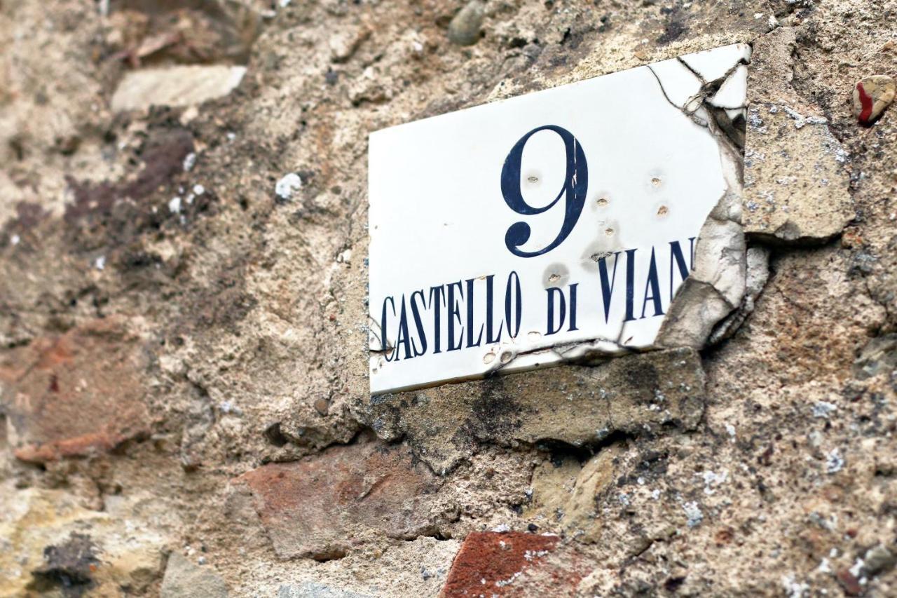 Castello Di Viano Vila Exterior foto