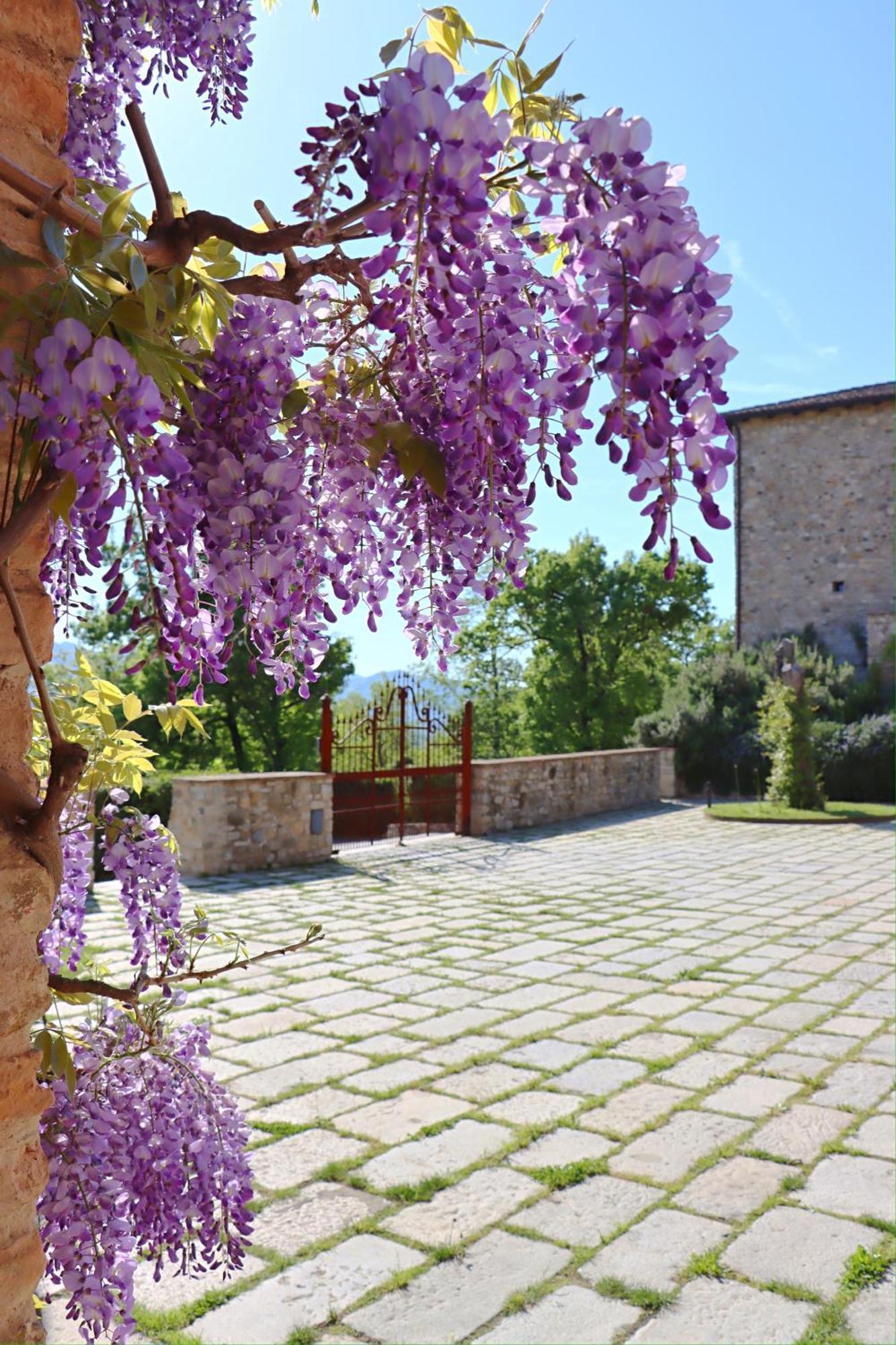 Castello Di Viano Vila Exterior foto