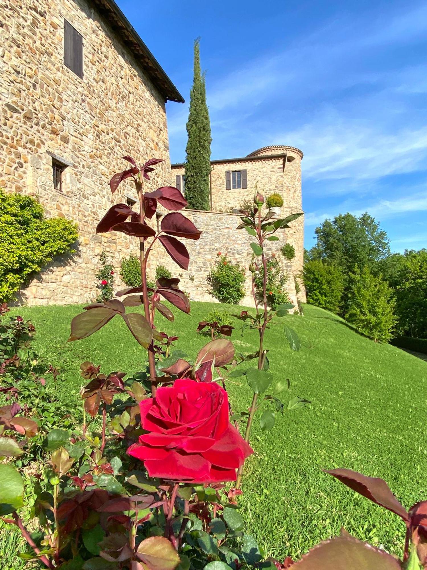 Castello Di Viano Vila Exterior foto